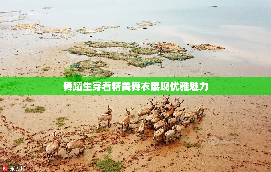 舞蹈生穿着精美舞衣展现优雅魅力