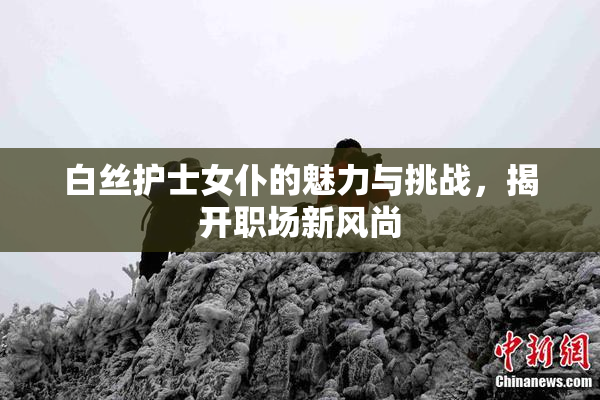 白丝护士女仆的魅力与挑战，揭开职场新风尚