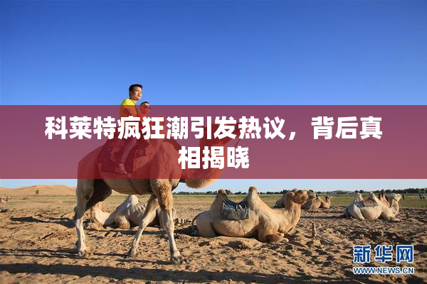 科莱特疯狂潮引发热议，背后真相揭晓