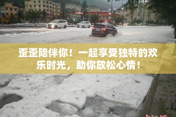 歪歪陪伴你！一起享受独特的欢乐时光，助你放松心情！