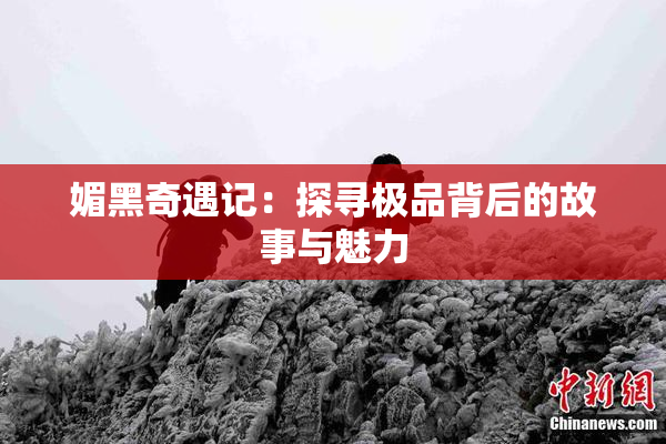 媚黑奇遇记：探寻极品背后的故事与魅力