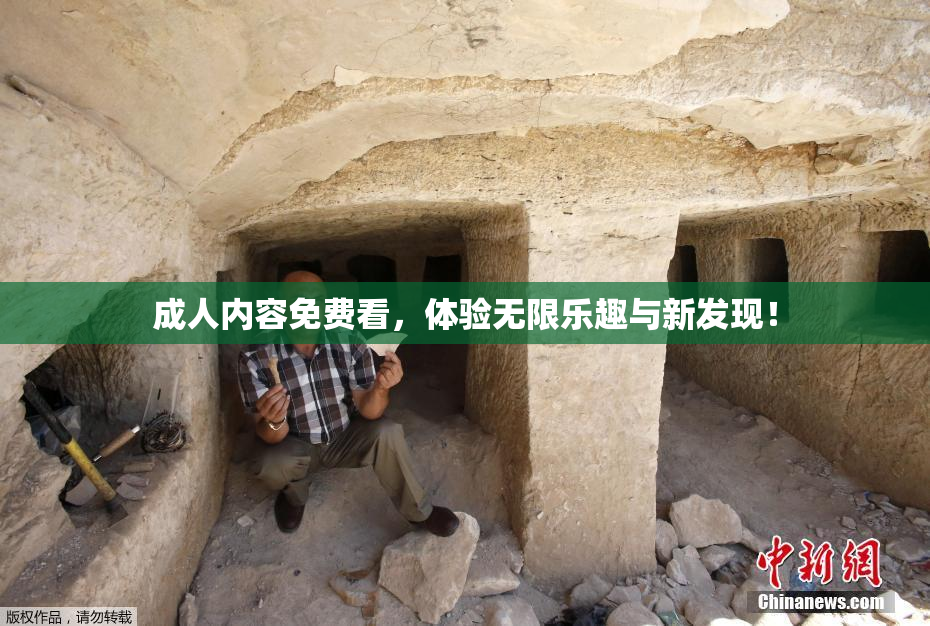 成人内容免费看，体验无限乐趣与新发现！