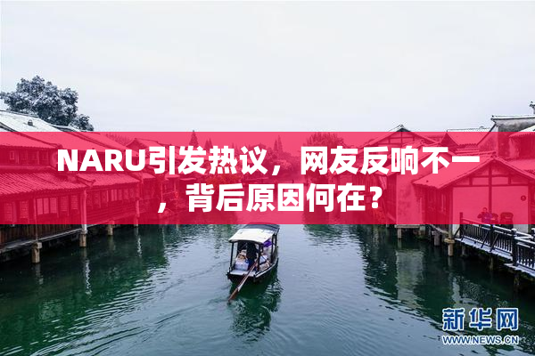 NARU引发热议，网友反响不一，背后原因何在？