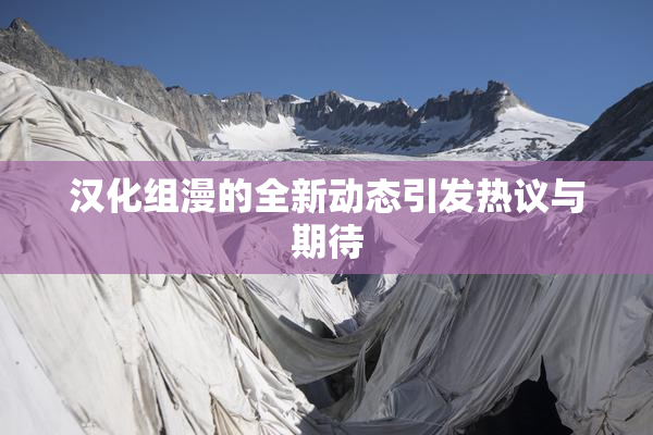 汉化组漫的全新动态引发热议与期待