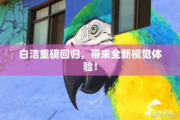 白洁重磅回归，带来全新视觉体验！