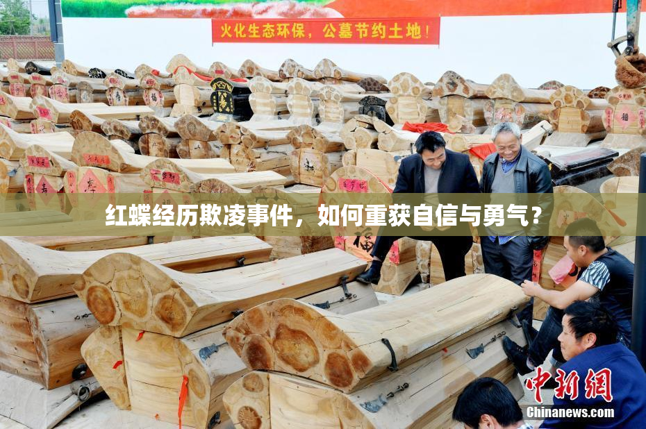 红蝶经历欺凌事件，如何重获自信与勇气？