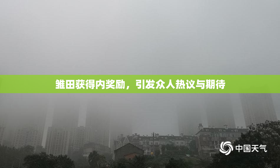 雏田获得内奖励，引发众人热议与期待
