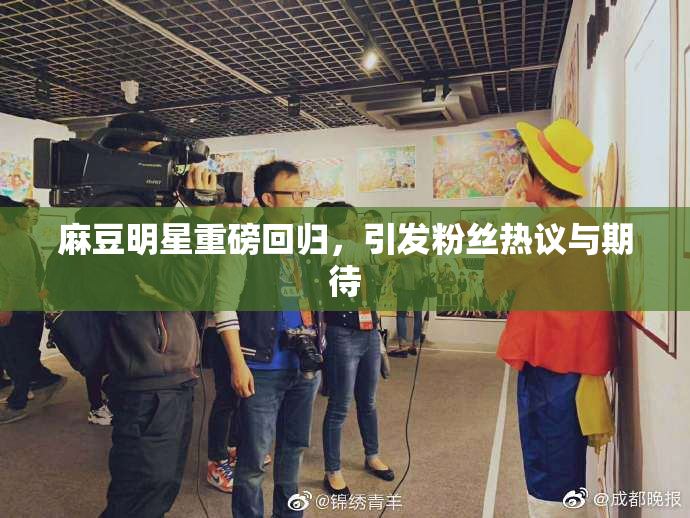 麻豆明星重磅回归，引发粉丝热议与期待