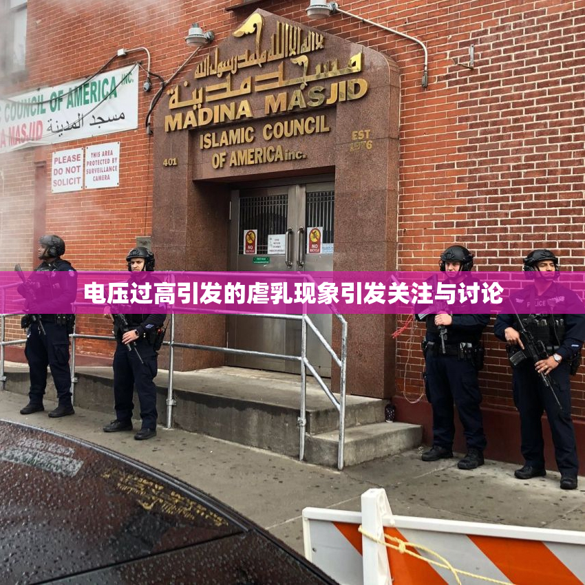 电压过高引发的虐乳现象引发关注与讨论