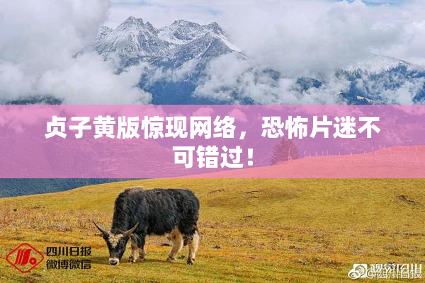 贞子黄版惊现网络，恐怖片迷不可错过！