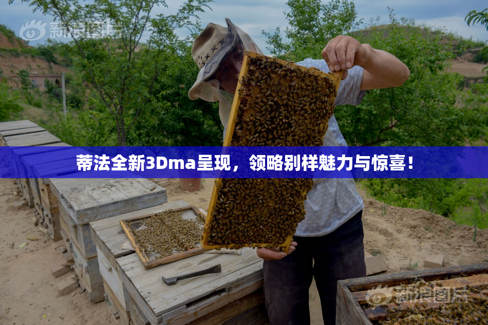 蒂法全新3Dma呈现，领略别样魅力与惊喜！
