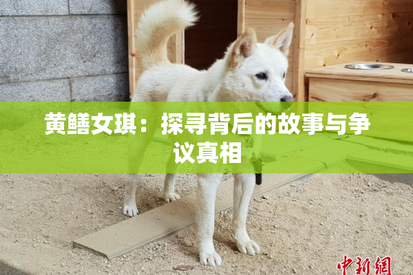 黄鳝女琪：探寻背后的故事与争议真相