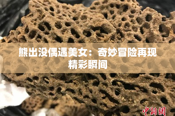 熊出没偶遇美女：奇妙冒险再现精彩瞬间