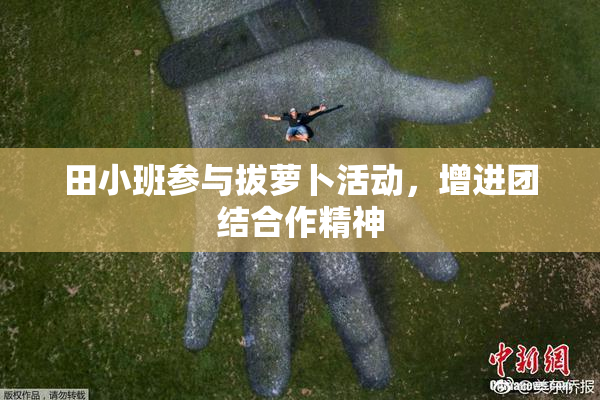 田小班参与拔萝卜活动，增进团结合作精神