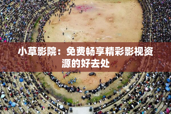 小草影院：免费畅享精彩影视资源的好去处