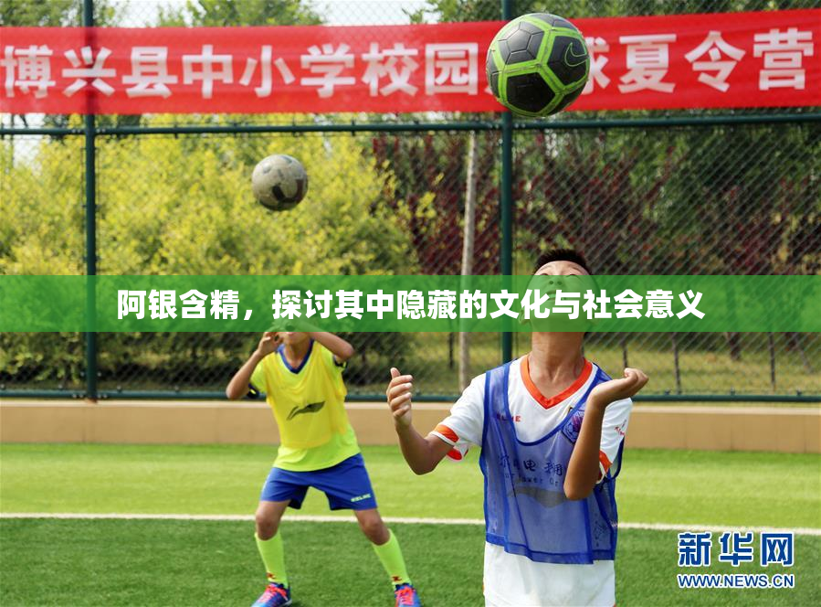 阿银含精，探讨其中隐藏的文化与社会意义