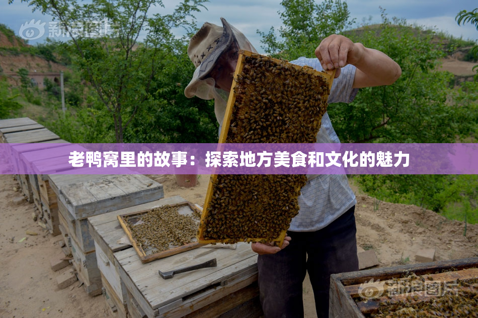 老鸭窝里的故事：探索地方美食和文化的魅力