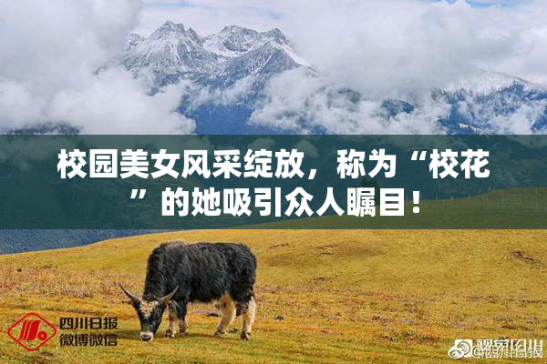 校园美女风采绽放，称为“校花”的她吸引众人瞩目！