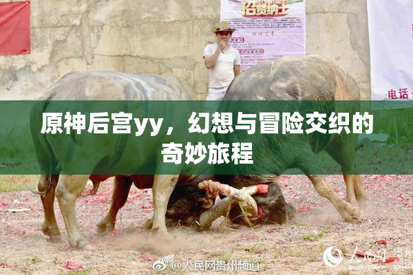 原神后宫yy，幻想与冒险交织的奇妙旅程