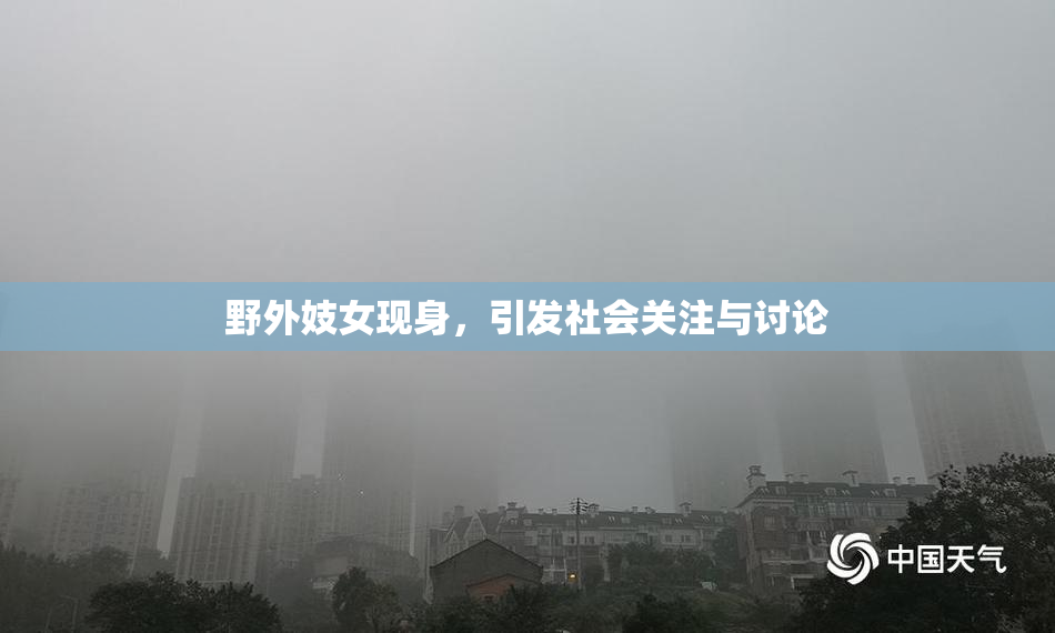 野外妓女现身，引发社会关注与讨论