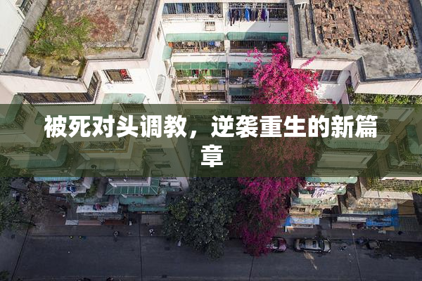 被死对头调教，逆袭重生的新篇章