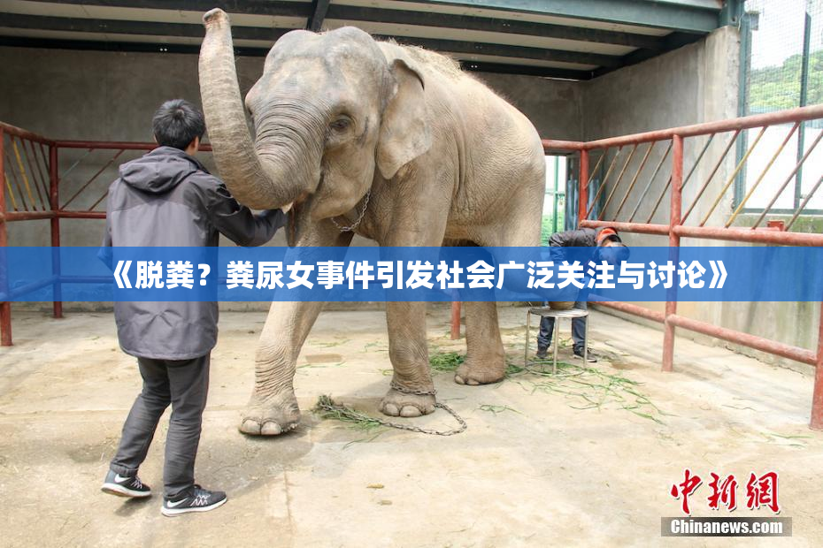 《脱粪？粪尿女事件引发社会广泛关注与讨论》