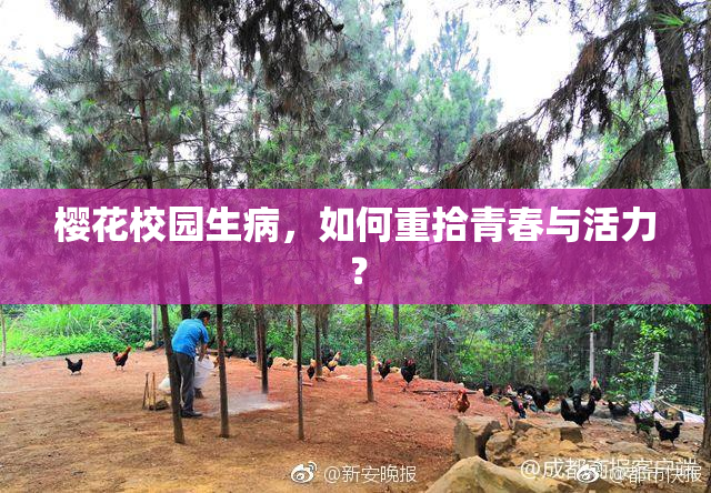 樱花校园生病，如何重拾青春与活力？